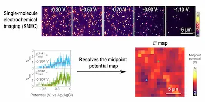 Single-molecule electrochemical imaging resolves spatially varying midpoint potentials on a transparent electrode