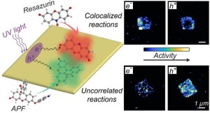 Colocalization of Redox Reactions on Semiconductor Photocatalysts