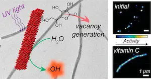 In Situ Imaging of Catalytic Reactions on Tungsten Oxide Nanowires Connects Surface–Ligand Redox Chemistry with Photocatalytic Activity