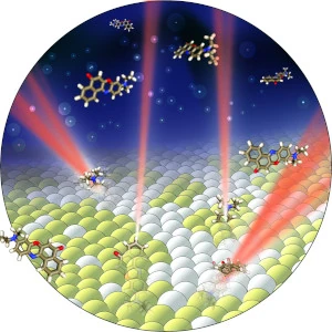 Single molecule sensing their nanoscale environment